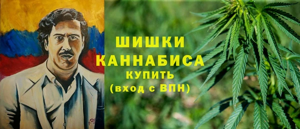 ПСИЛОЦИБИНОВЫЕ ГРИБЫ Верея