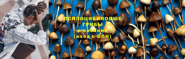 молекула духа Волоколамск