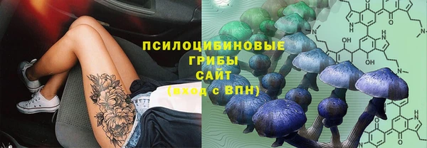 молекула духа Волоколамск