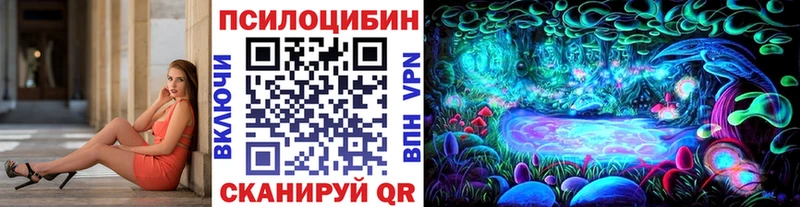 Галлюциногенные грибы прущие грибы  продажа наркотиков  Каргополь 